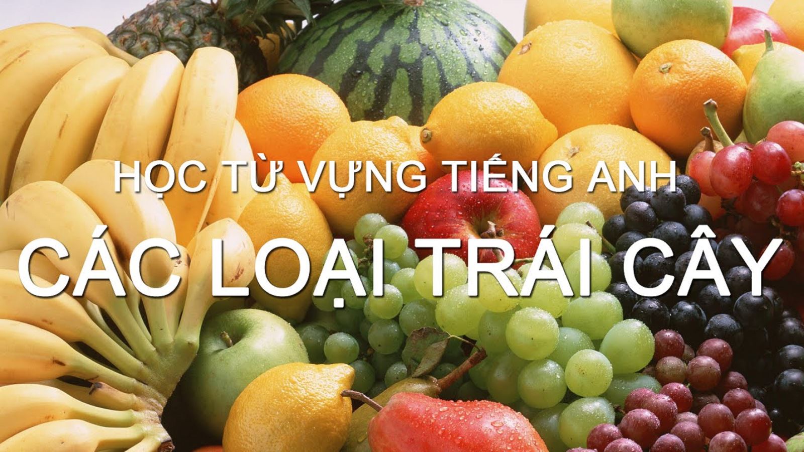 hoc-tu-vung-tieng-anh-qua-ten-25-loai-qua-thuong-gap-hang-ngay